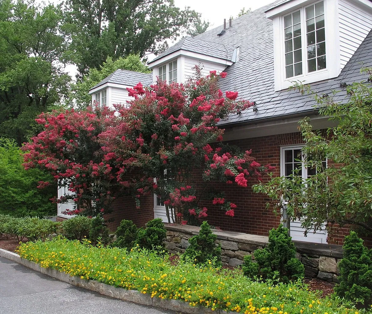 Hillwood Estate, Museum & Gardens