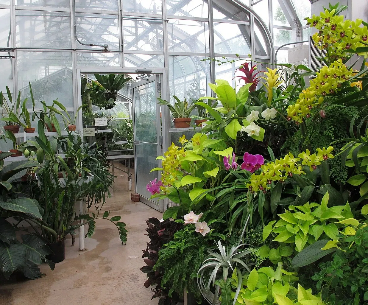 Hillwood Estate, Museum & Gardens