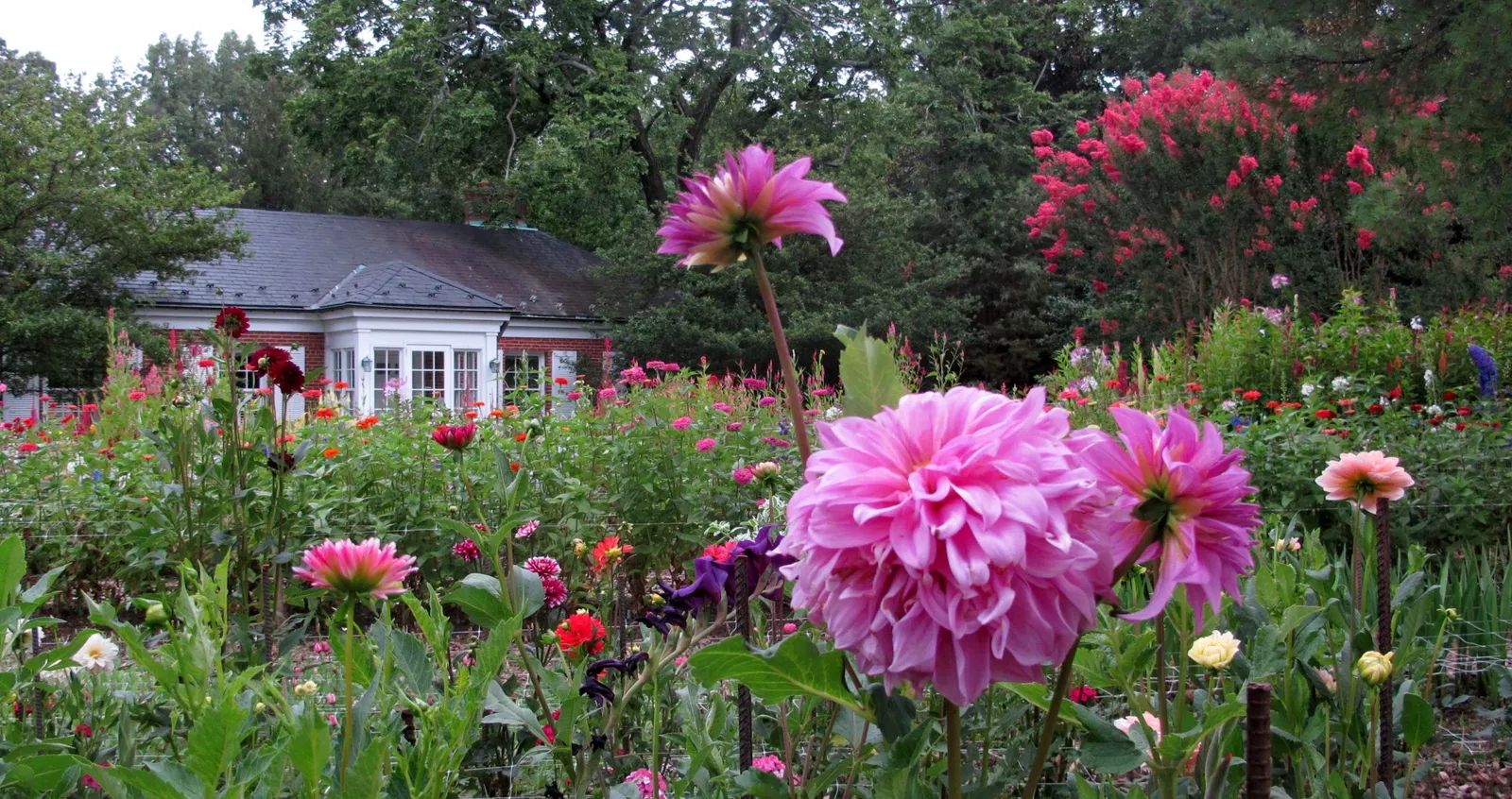 Hillwood Estate, Museum & Gardens