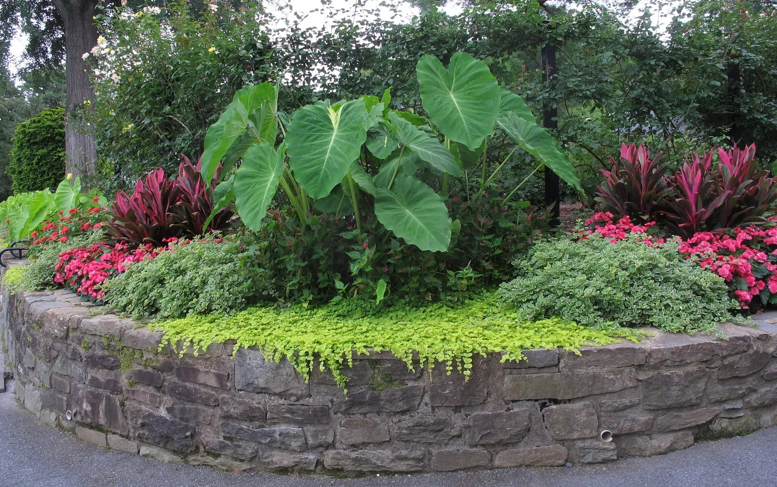 Hillwood Estate, Museum & Gardens