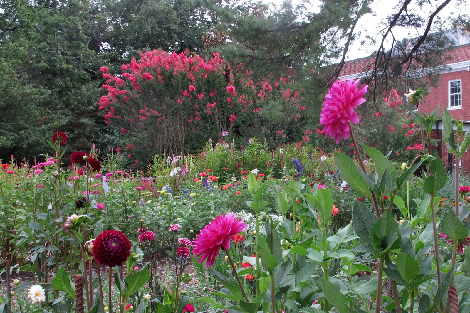 Hillwood Estate, Museum & Gardens