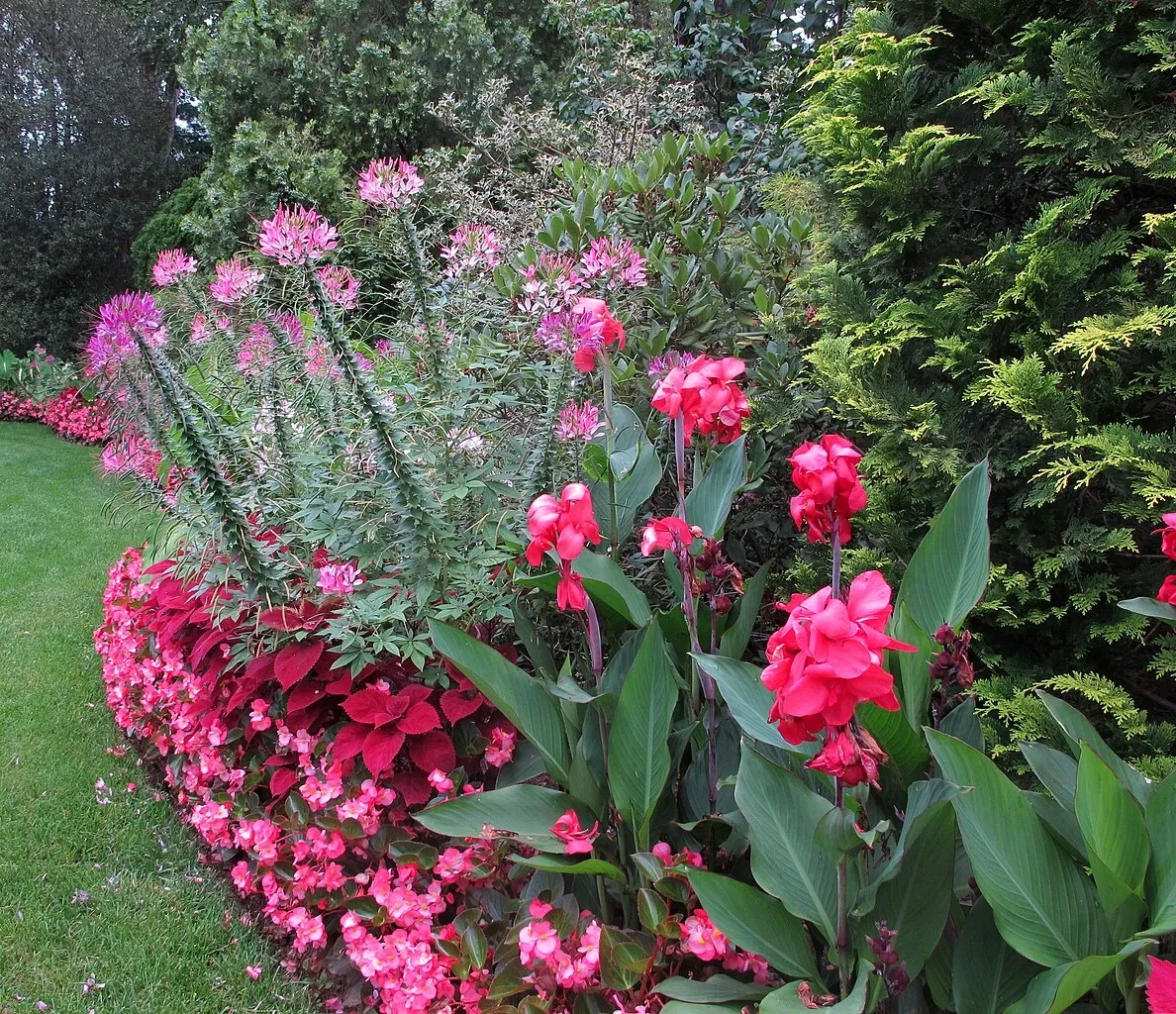 Hillwood Estate, Museum & Gardens