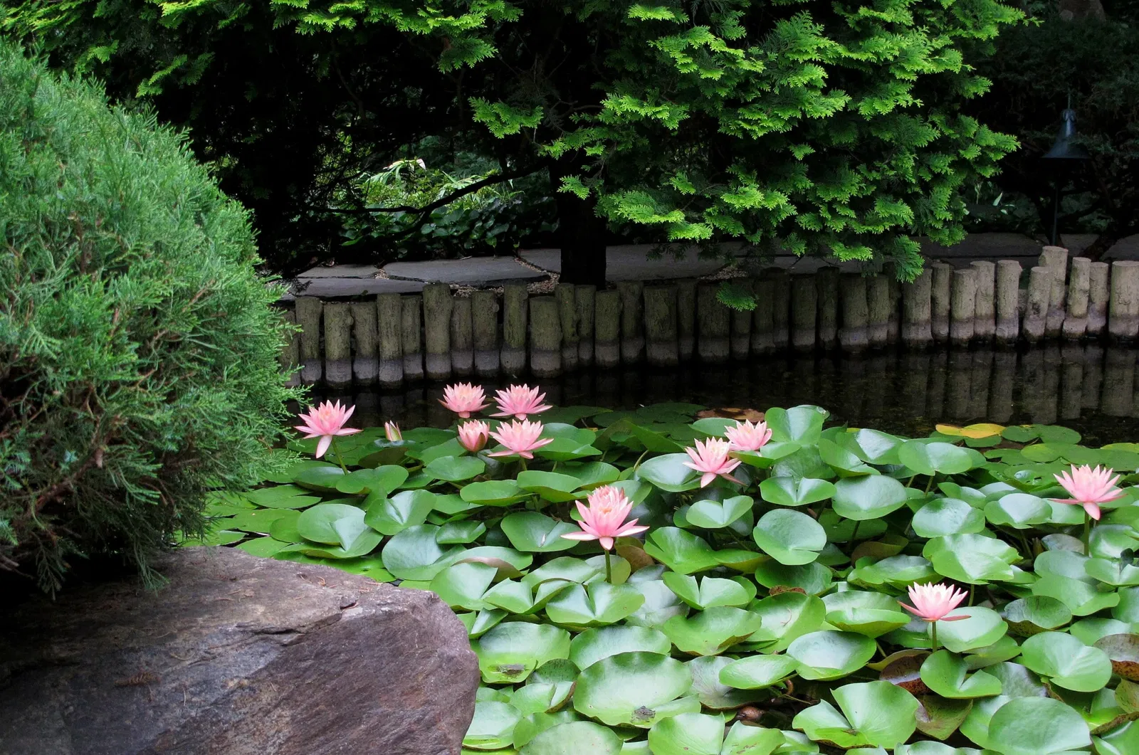 Hillwood Estate, Museum & Gardens