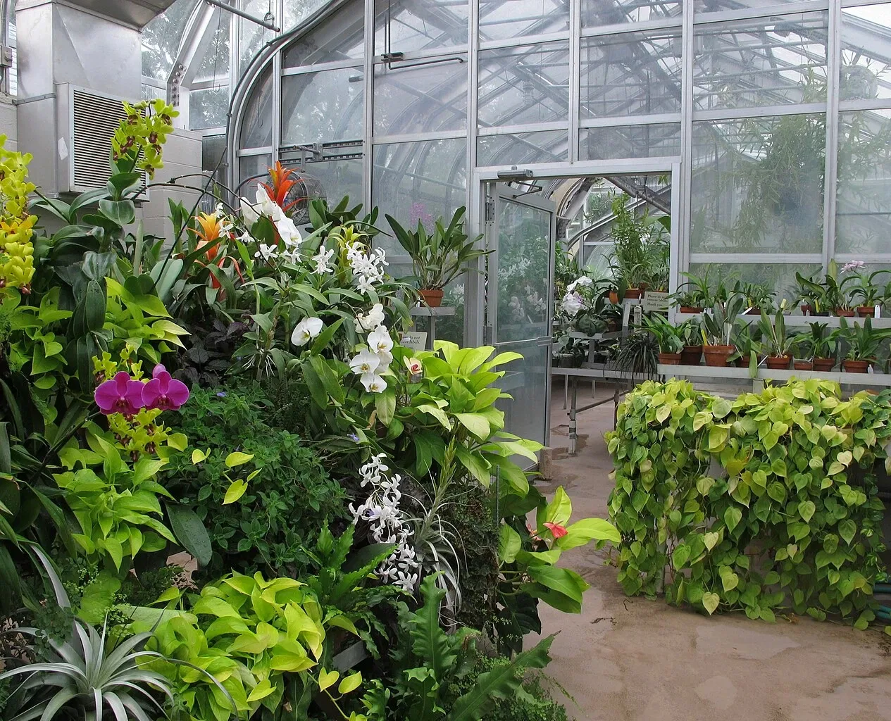 Hillwood Estate, Museum & Gardens