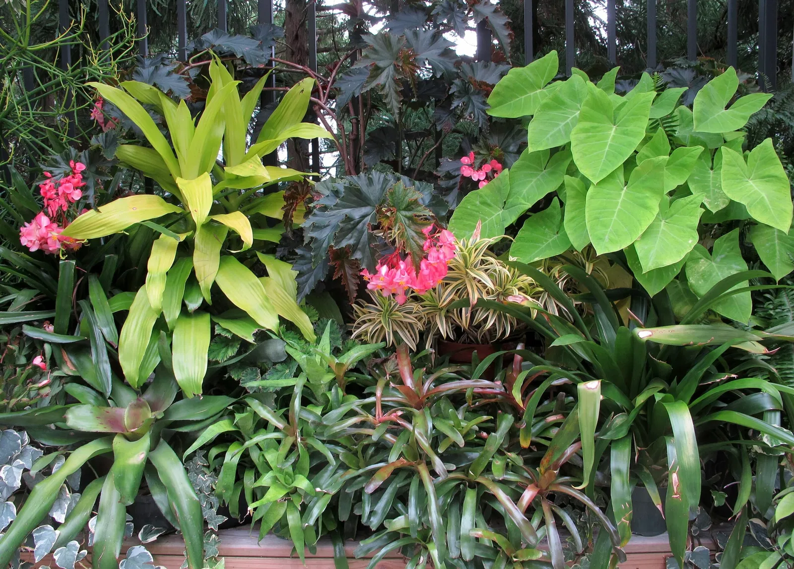 Hillwood Estate, Museum & Gardens