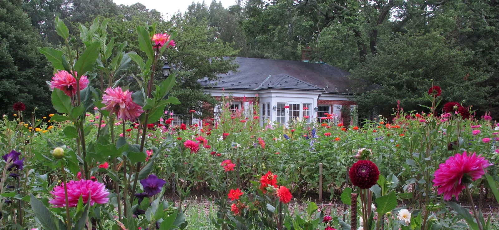 Hillwood Estate, Museum & Gardens