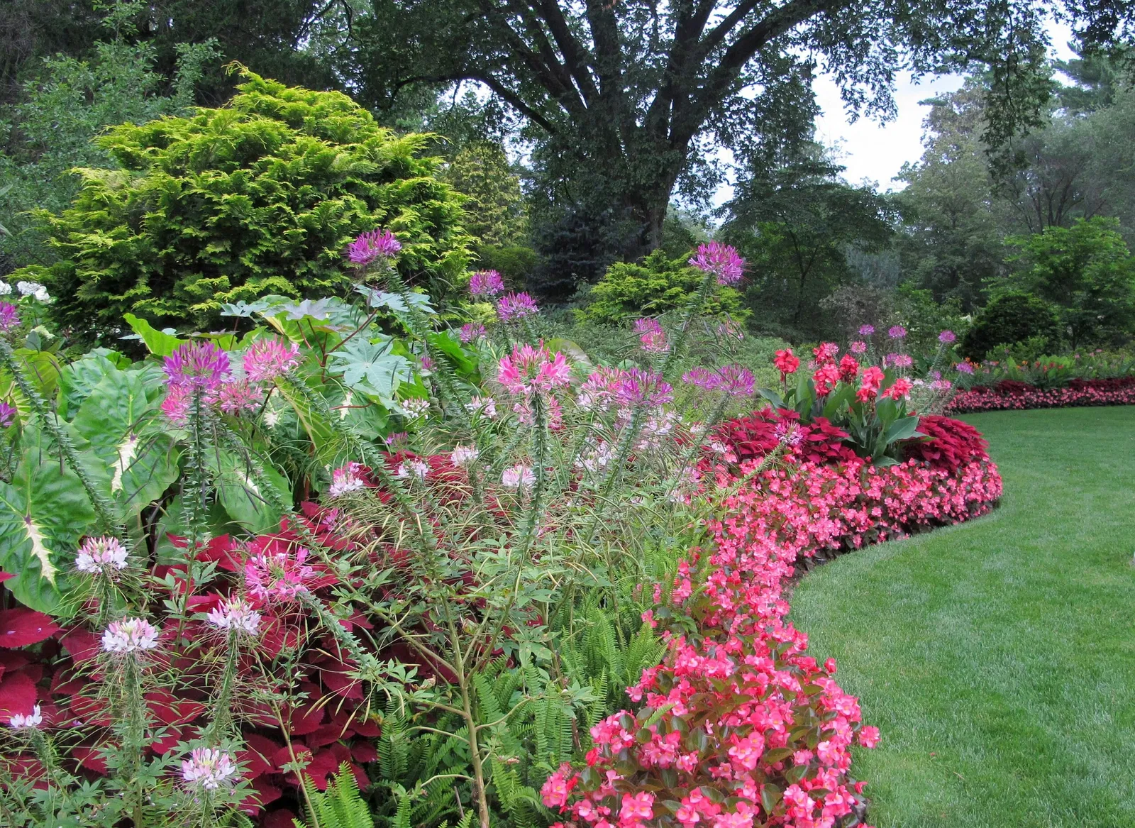 Hillwood Estate, Museum & Gardens