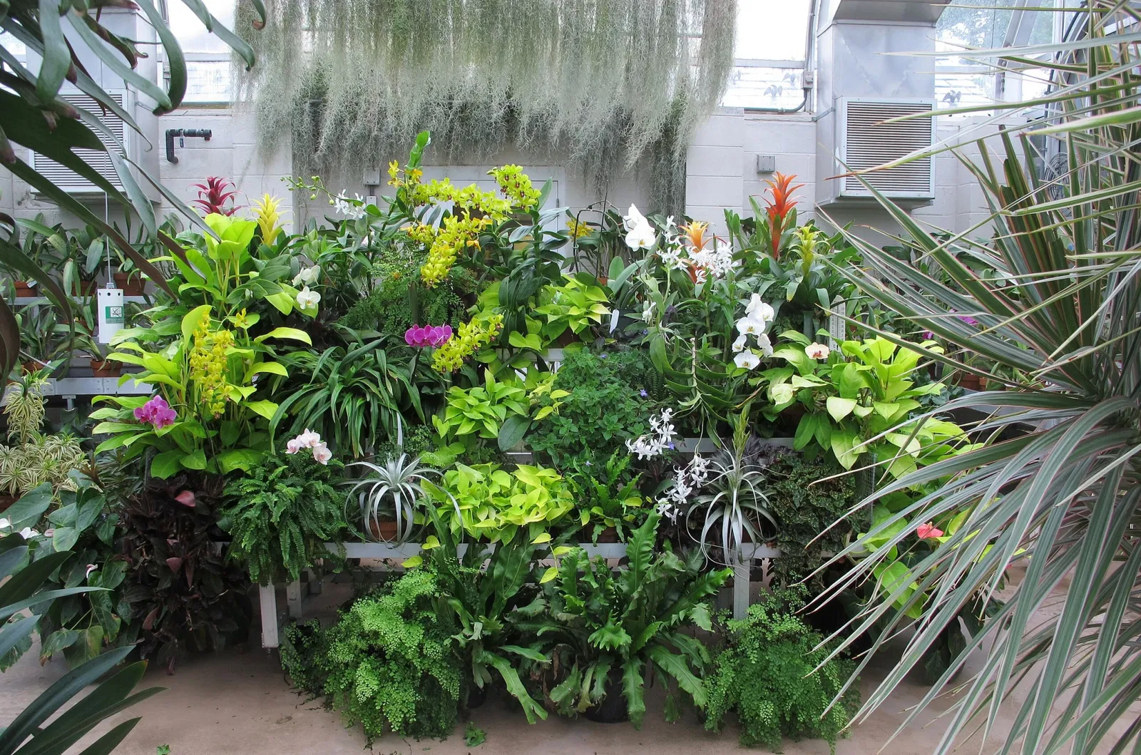 Hillwood Estate, Museum & Gardens