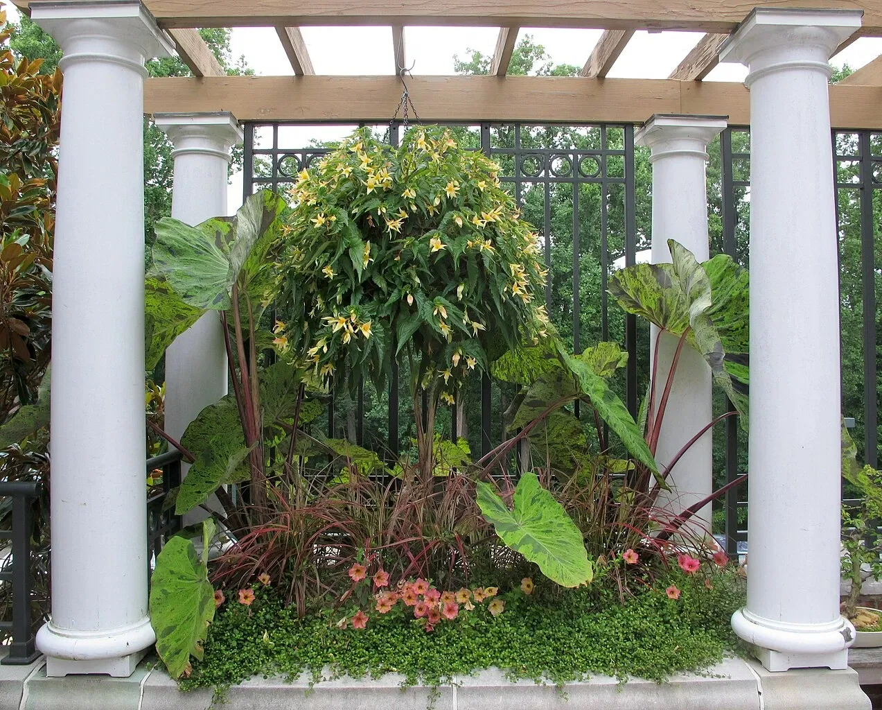 Hillwood Estate, Museum & Gardens