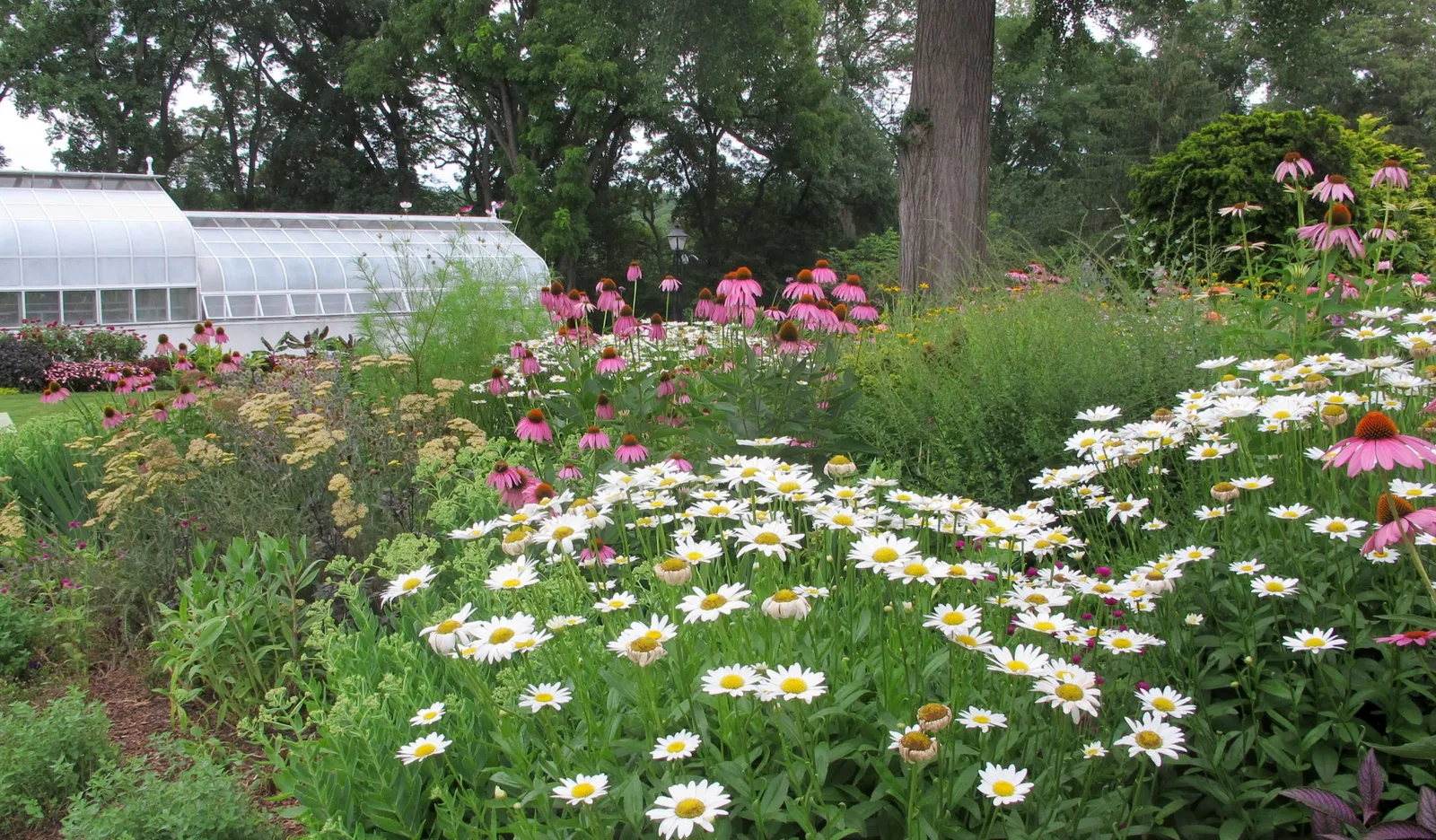 Hillwood Estate, Museum & Gardens