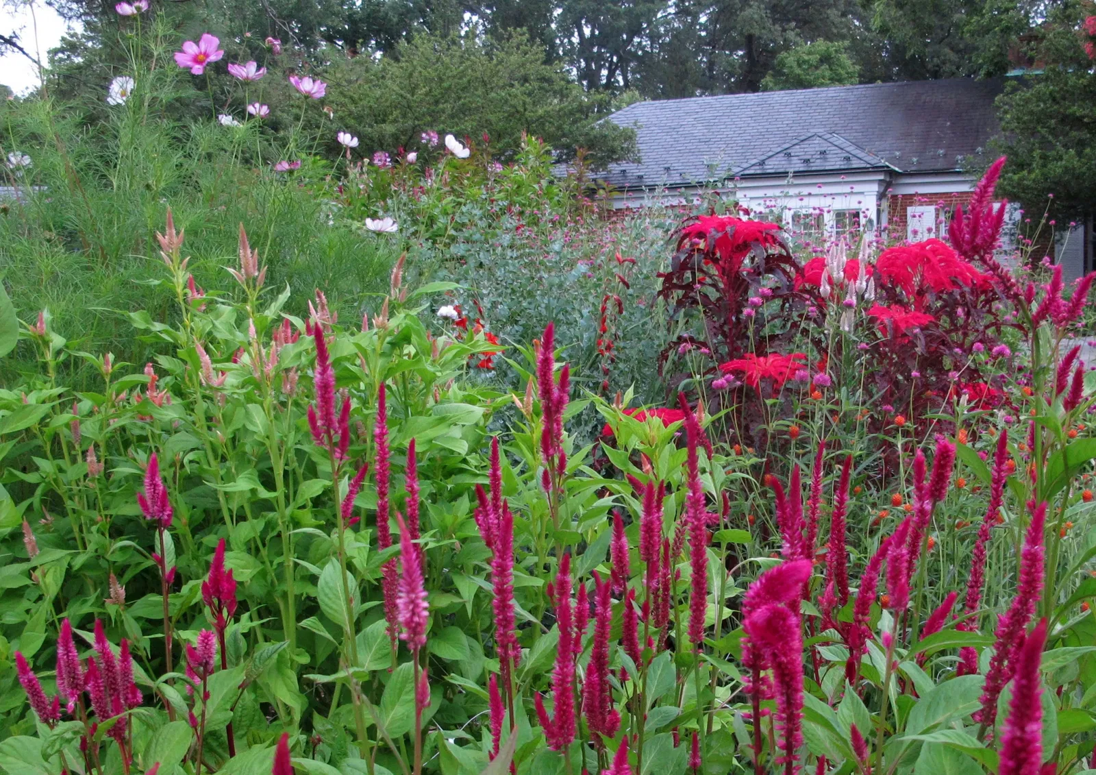 Hillwood Estate, Museum & Gardens