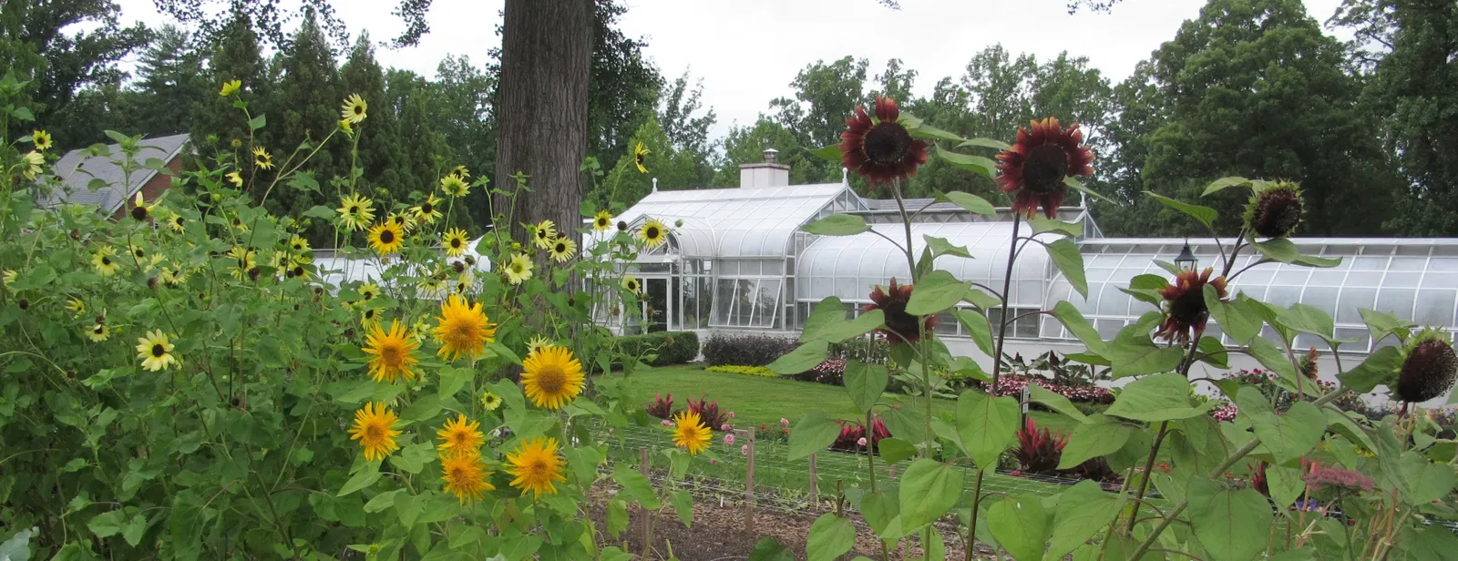 Hillwood Estate, Museum & Gardens