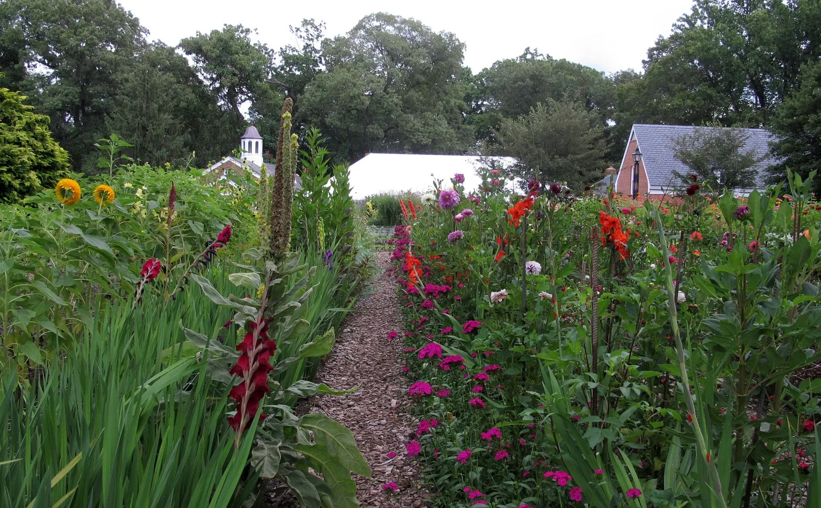 Hillwood Estate, Museum & Gardens