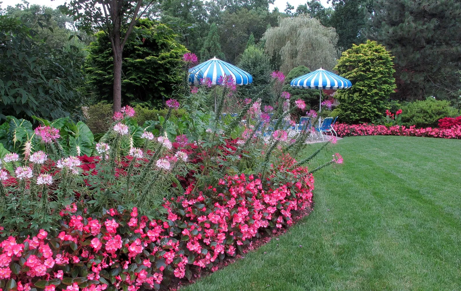 Hillwood Estate, Museum & Gardens