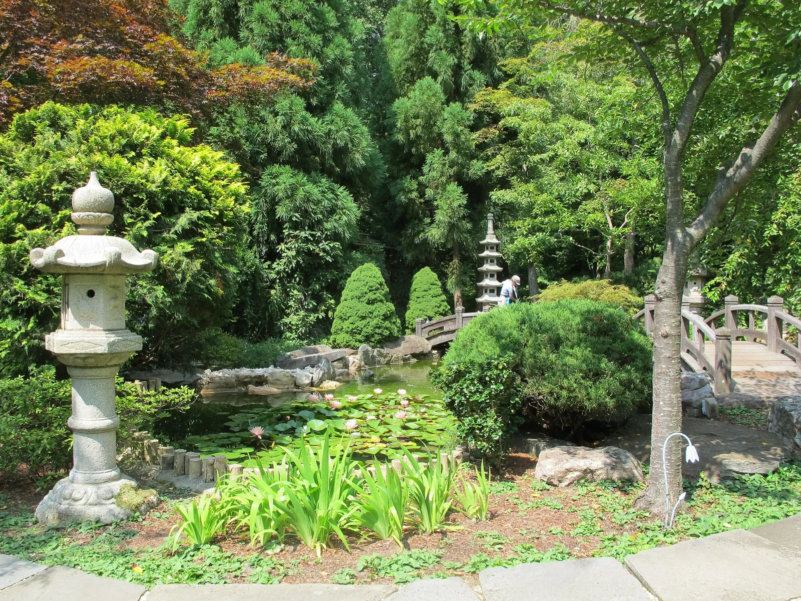 Hillwood Estate, Museum & Gardens