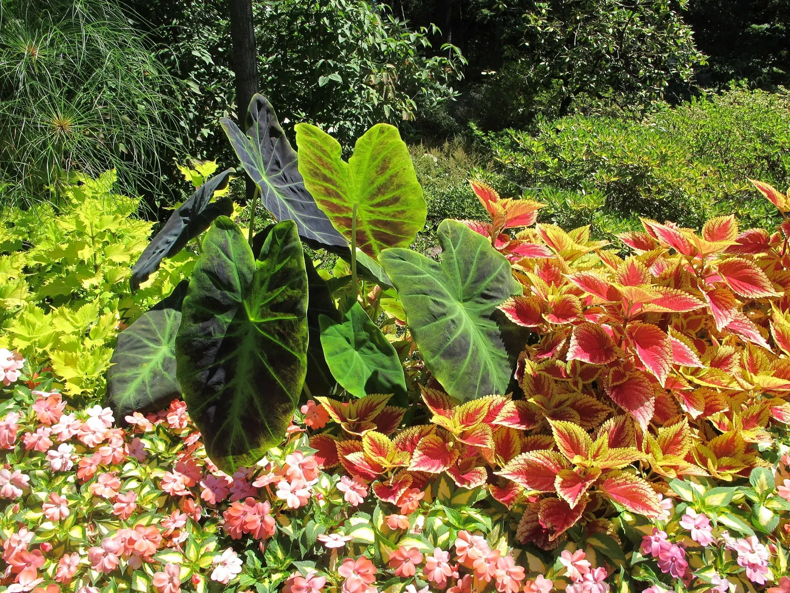 Hillwood Estate, Museum & Gardens