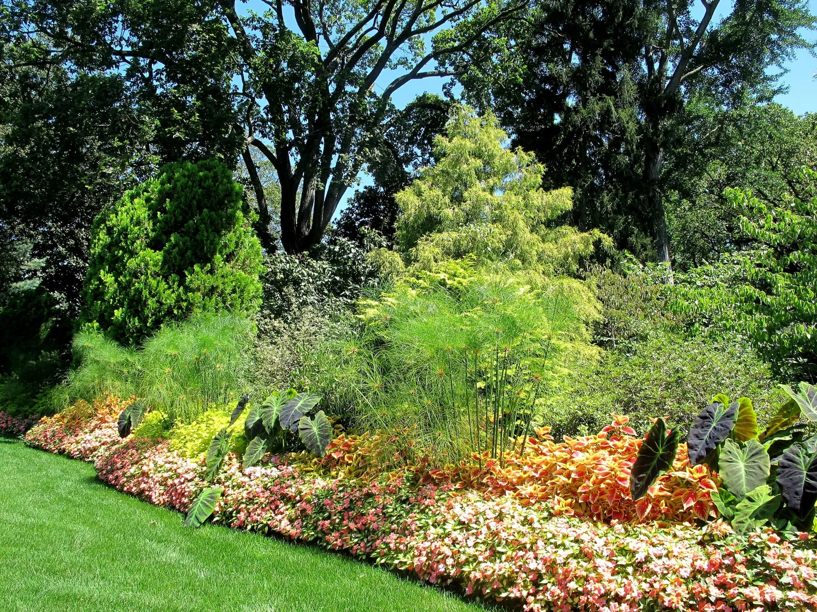 Hillwood Estate, Museum & Gardens