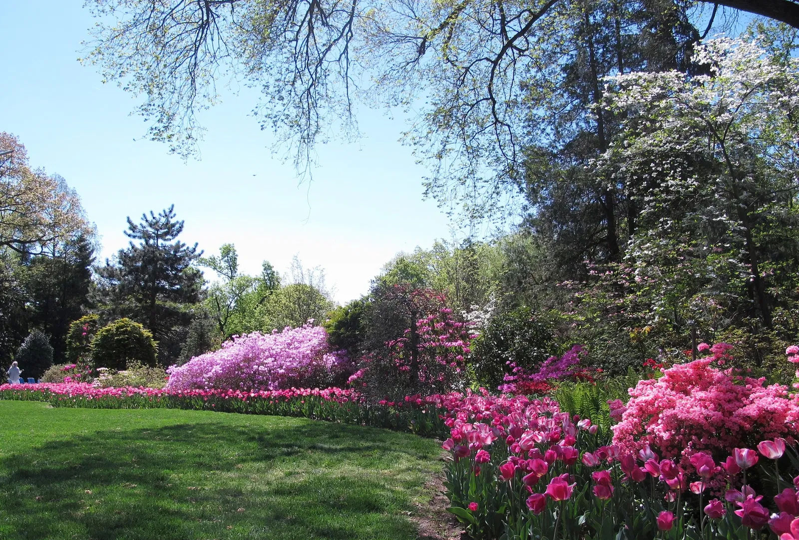 Hillwood Estate, Museum & Gardens