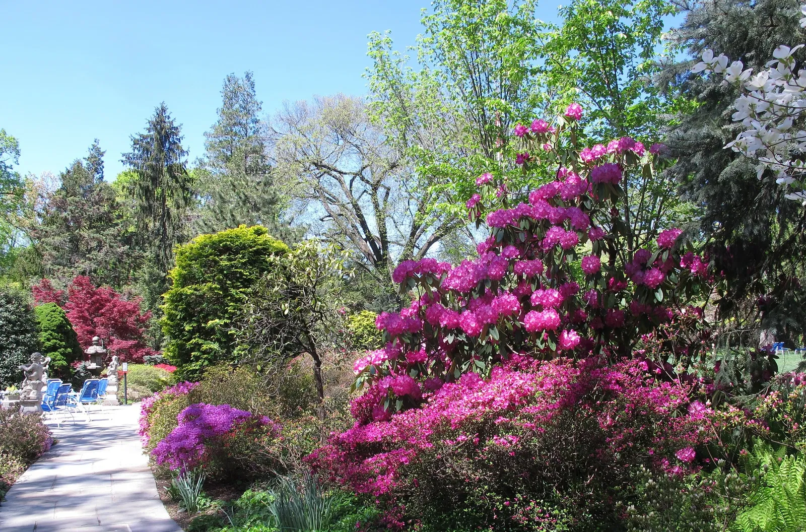 Hillwood Estate, Museum & Gardens