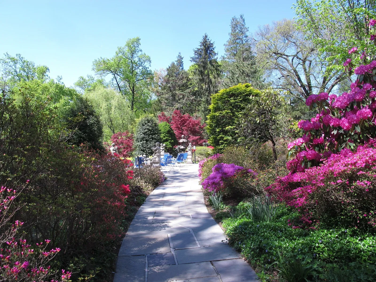 Hillwood Estate, Museum & Gardens