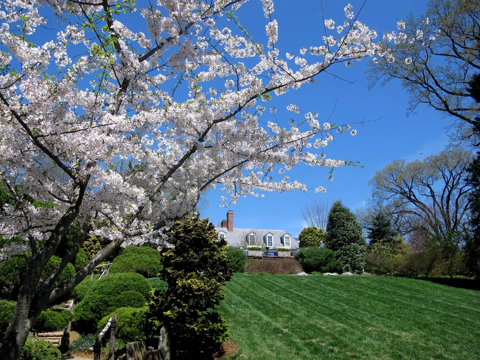 Hillwood Estate, Museum & Gardens