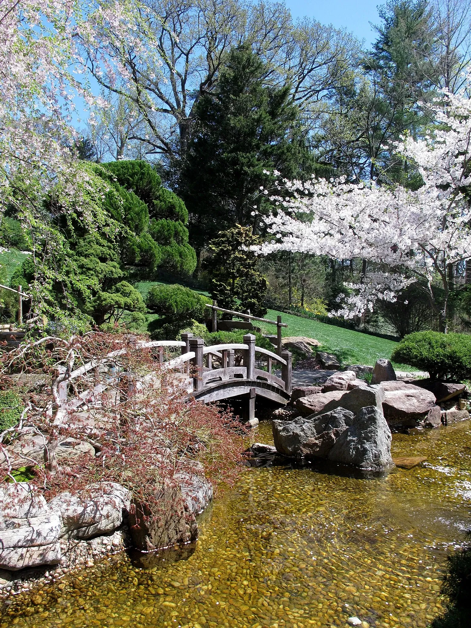 Hillwood Estate, Museum & Gardens