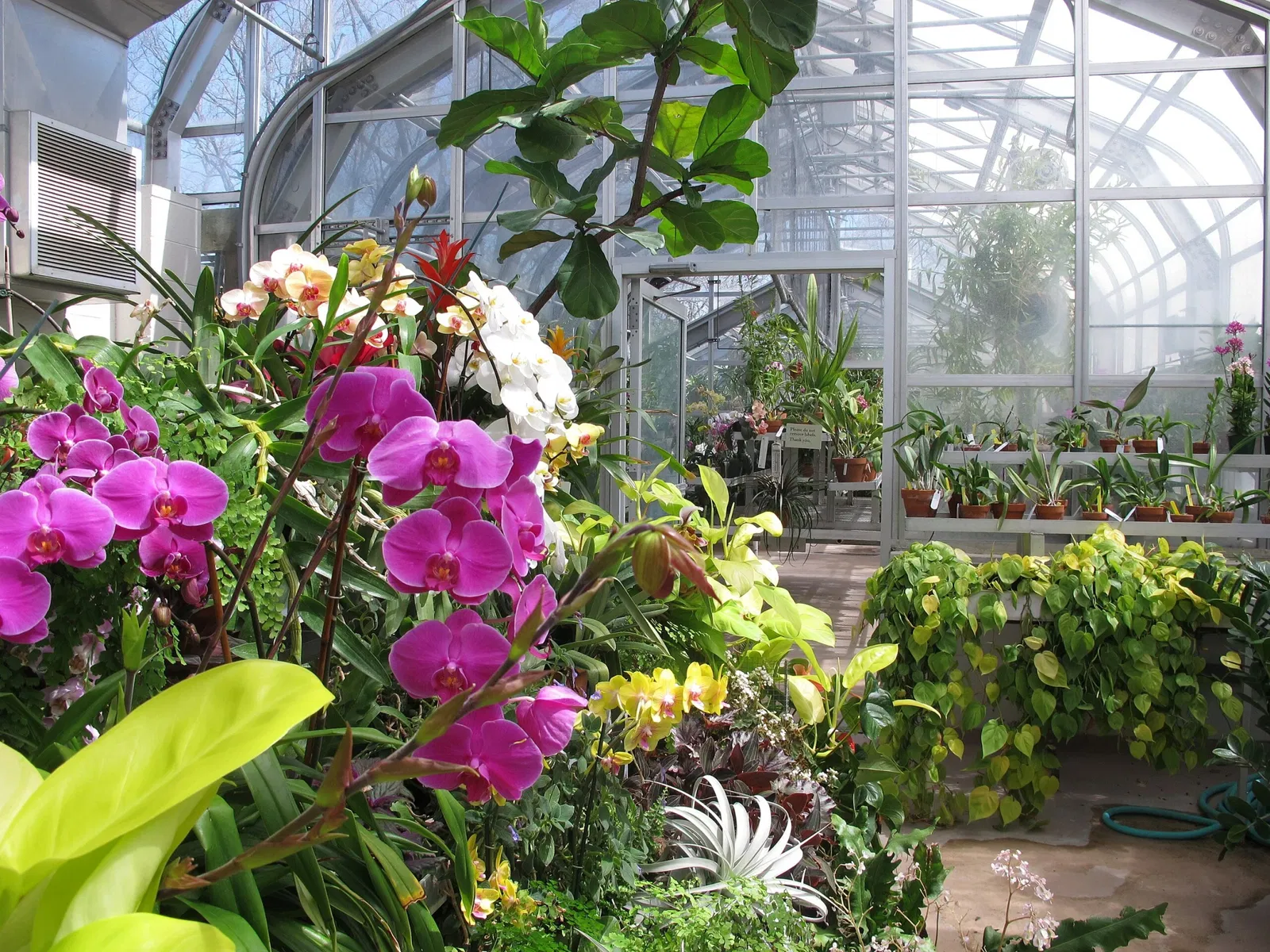 Hillwood Estate, Museum & Gardens