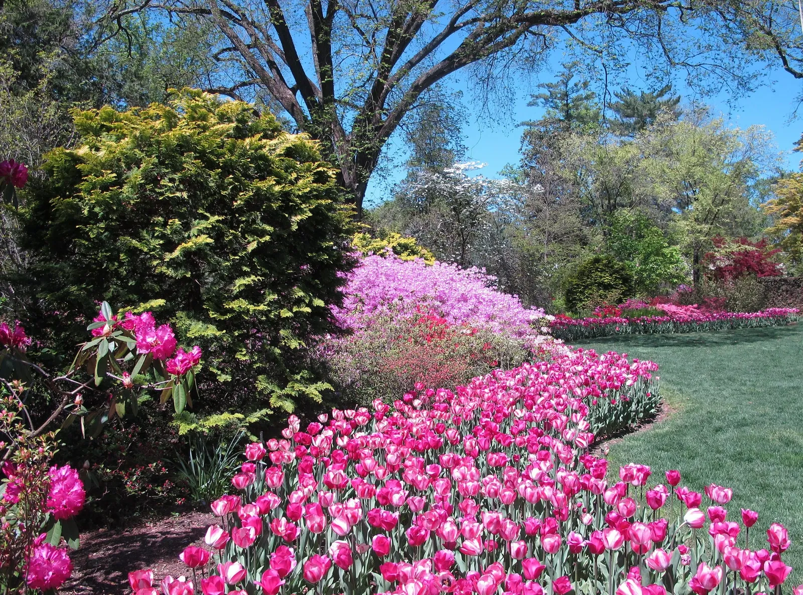 Hillwood Estate, Museum & Gardens