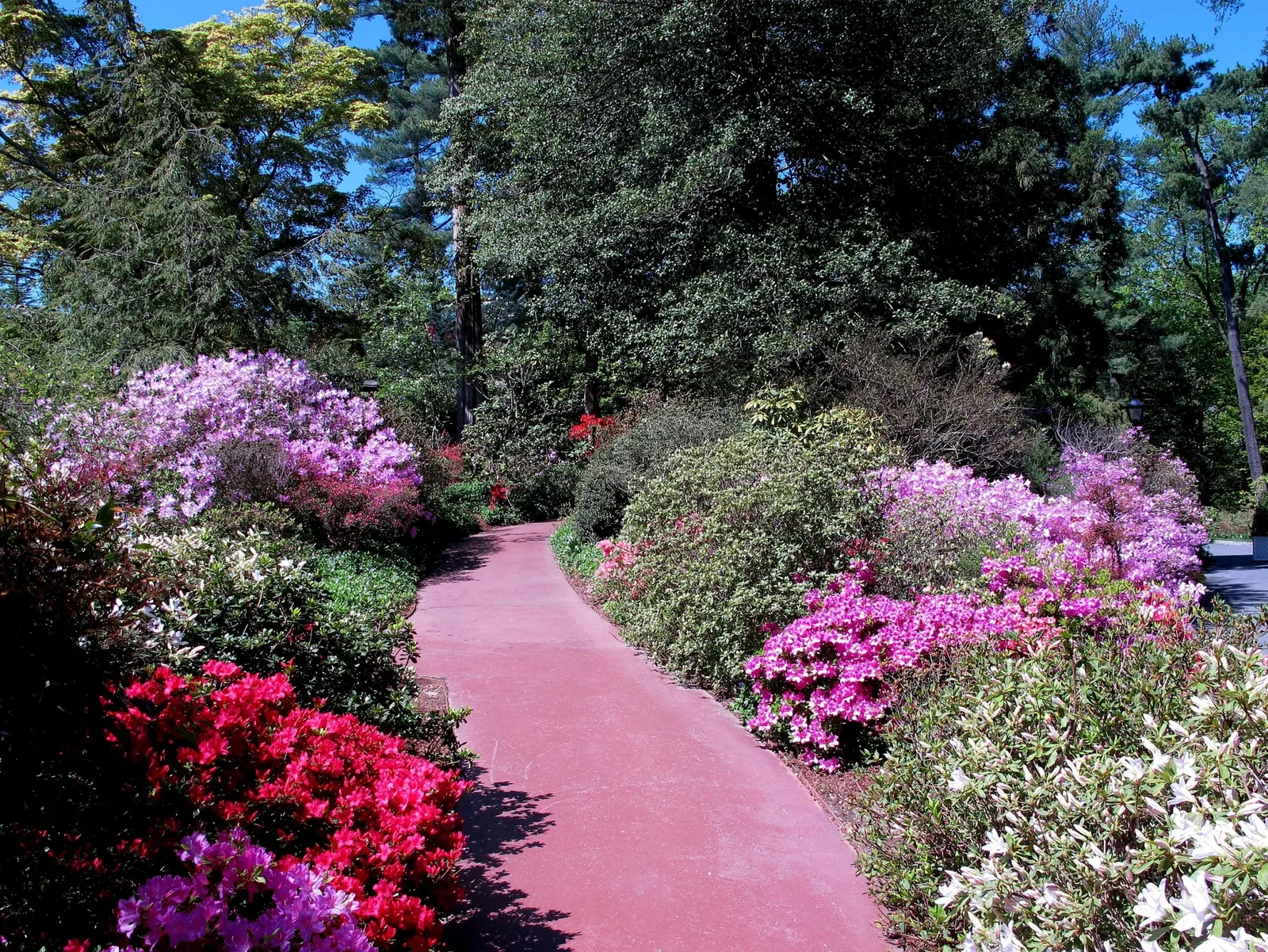 Hillwood Estate, Museum & Gardens