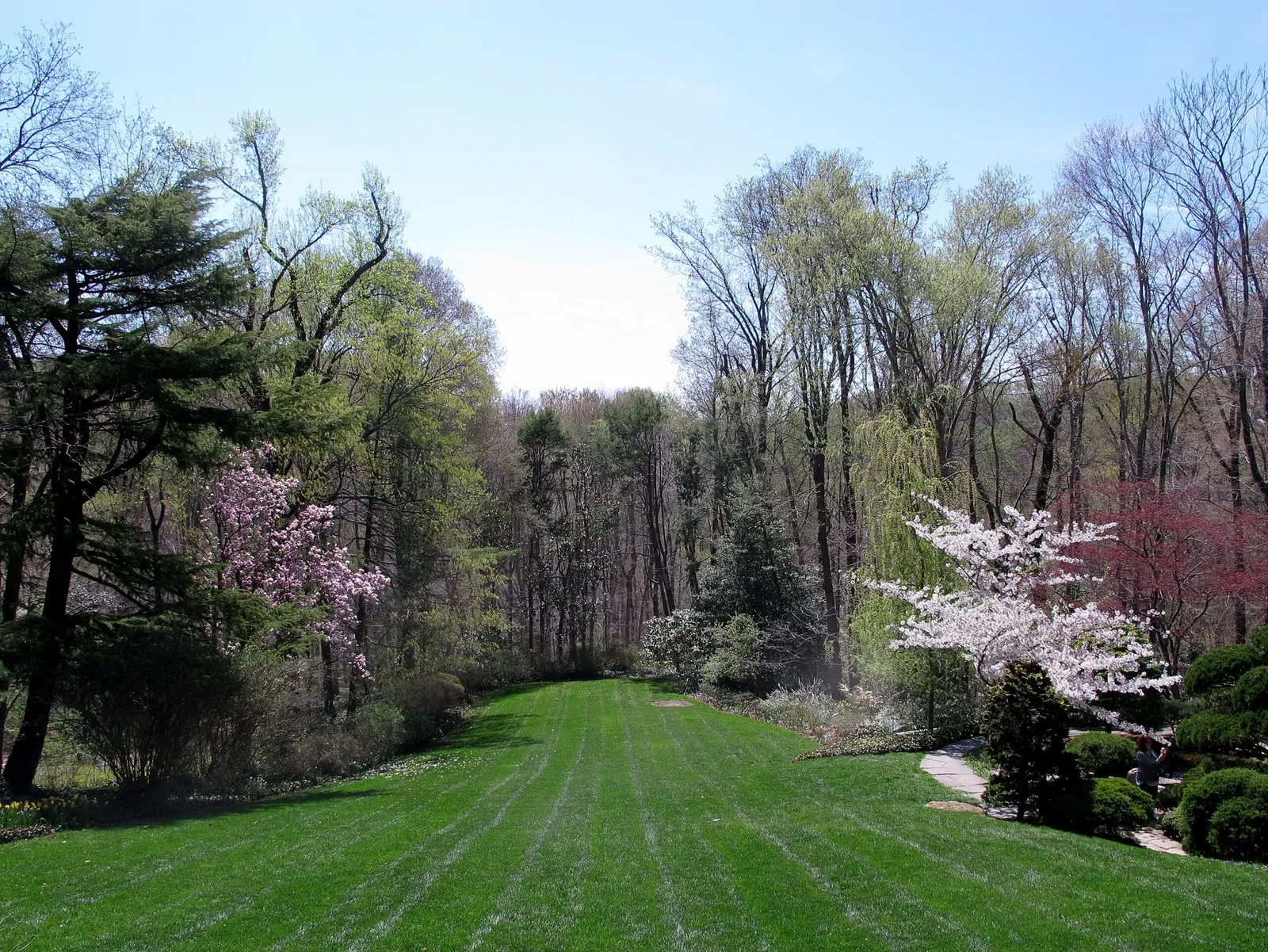 Hillwood Estate, Museum & Gardens