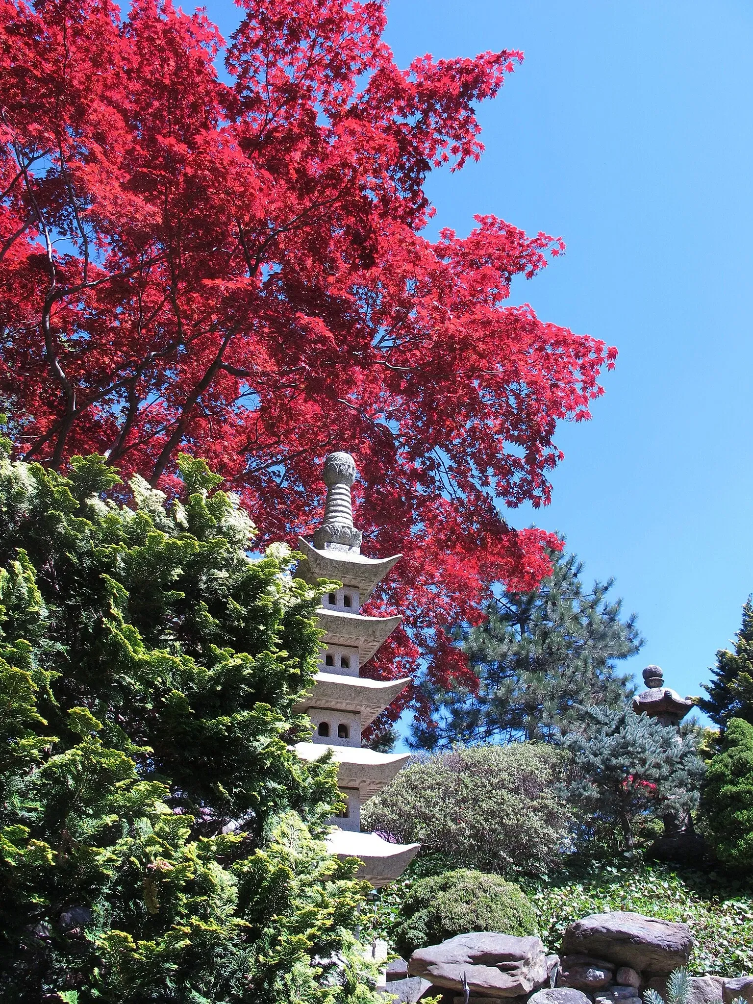 Hillwood Estate, Museum & Gardens