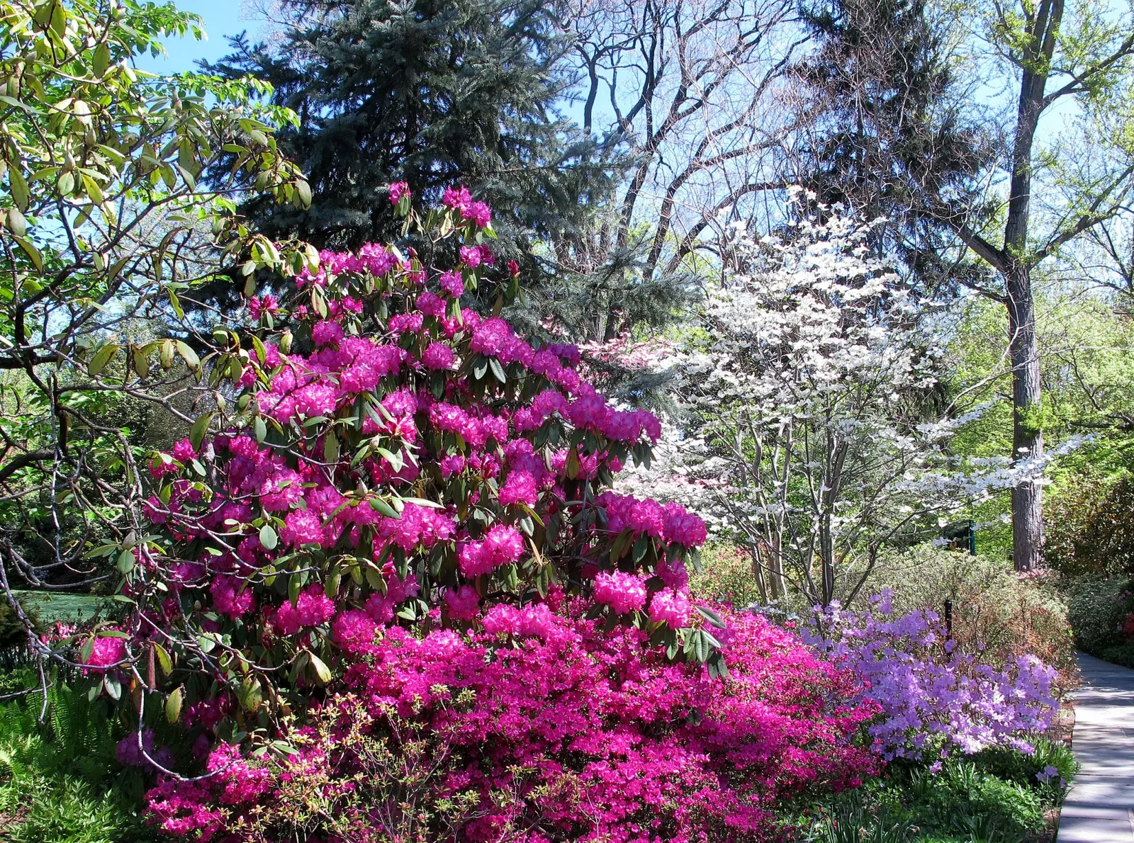 Hillwood Estate, Museum & Gardens