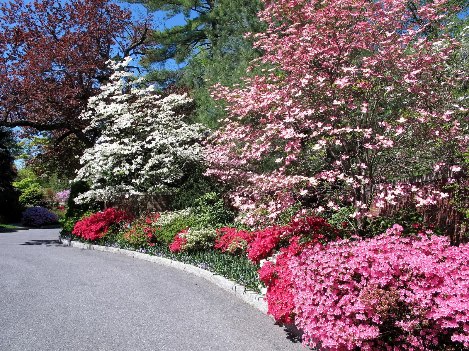 Hillwood Estate, Museum & Gardens