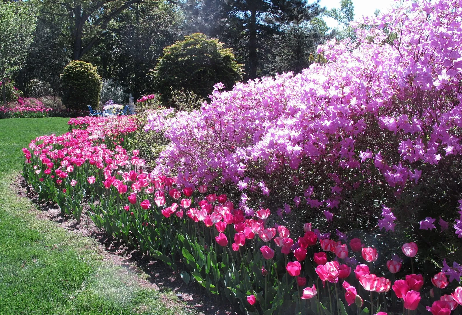 Hillwood Estate, Museum & Gardens
