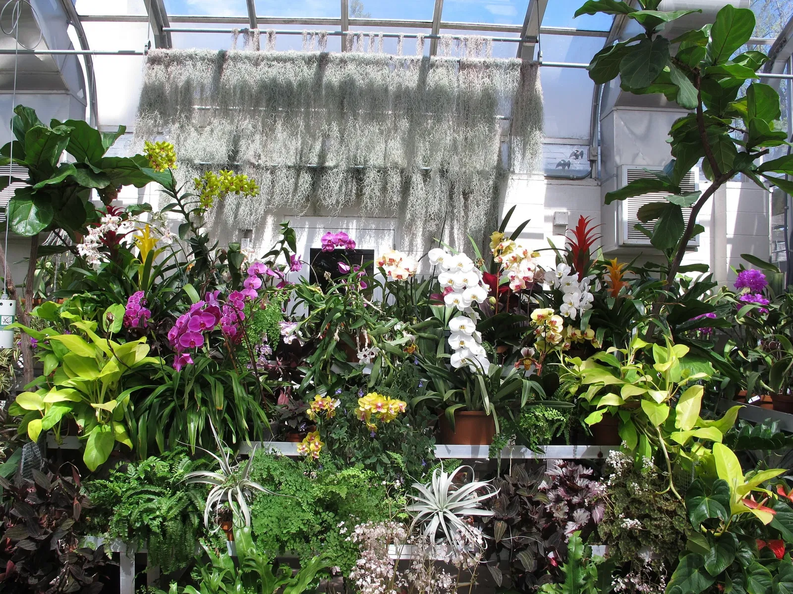 Hillwood Estate, Museum & Gardens