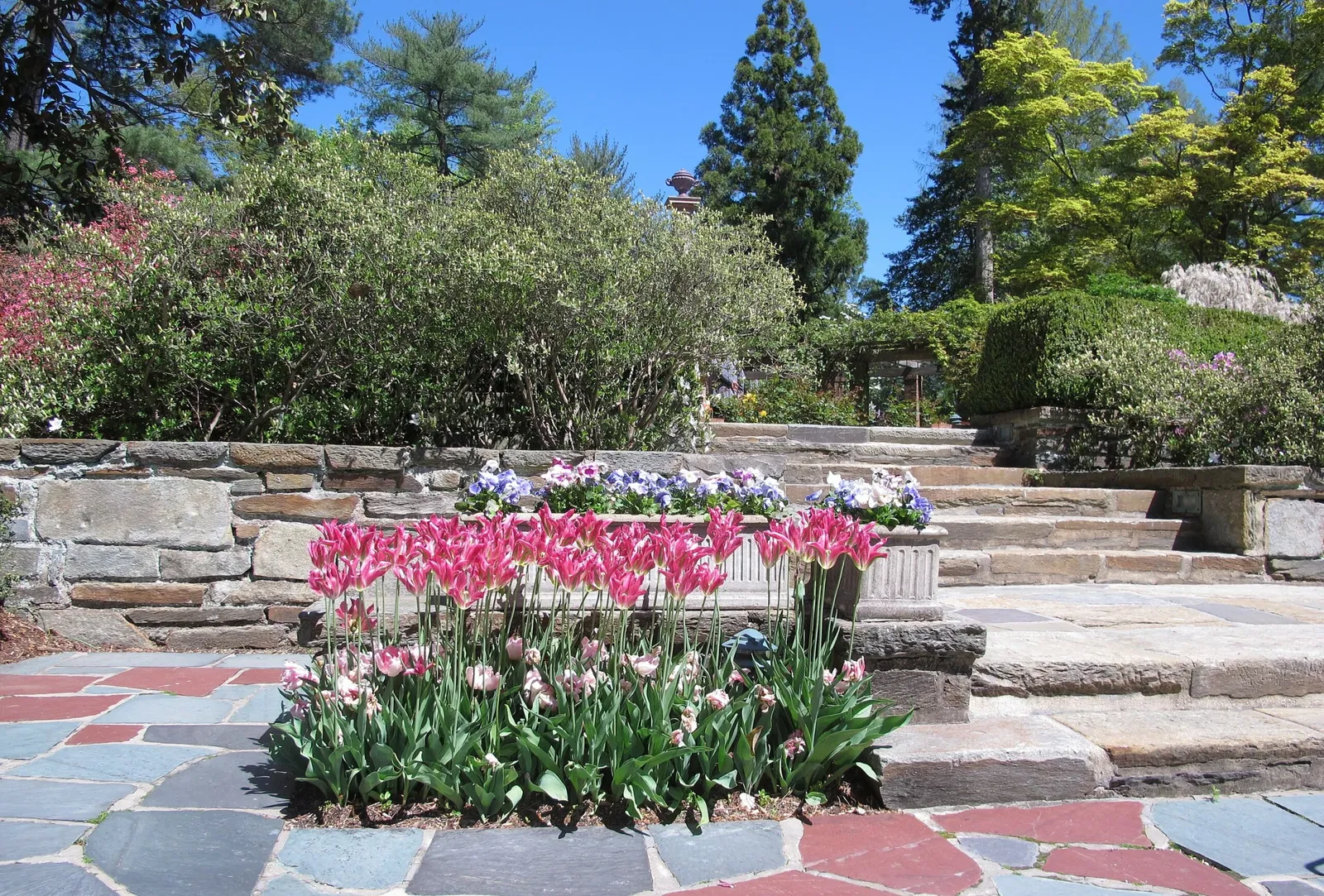 Hillwood Estate, Museum & Gardens