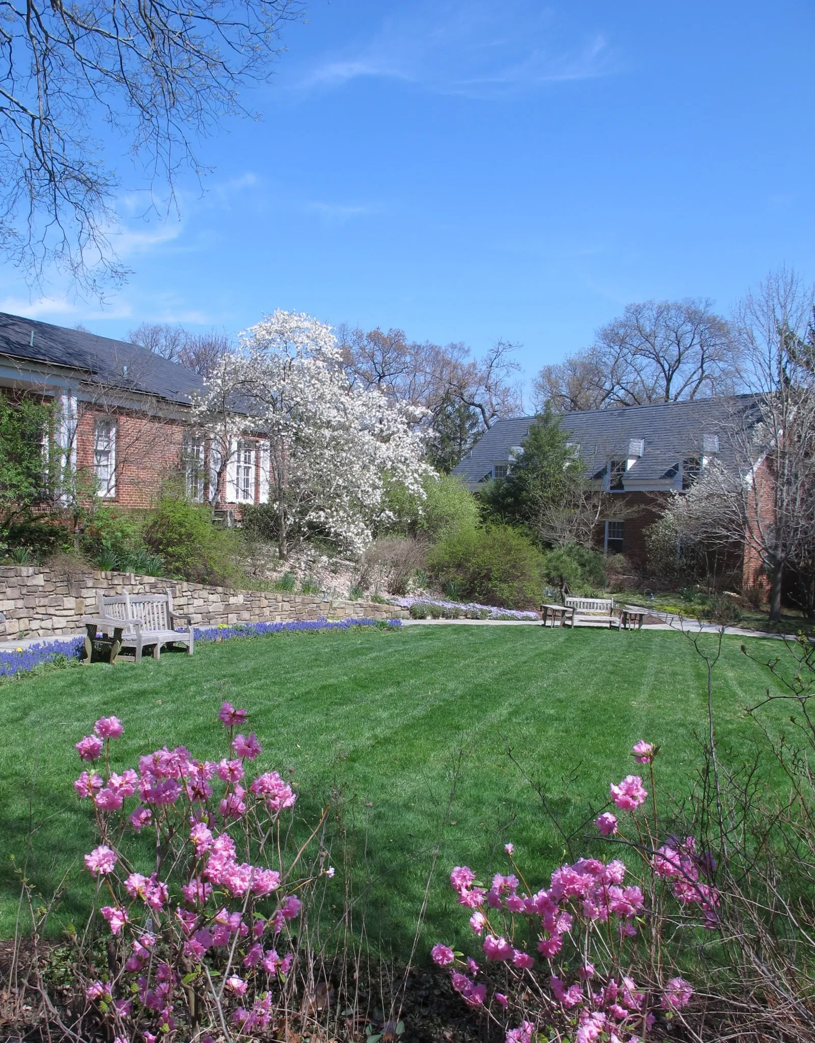 Hillwood Estate, Museum & Gardens