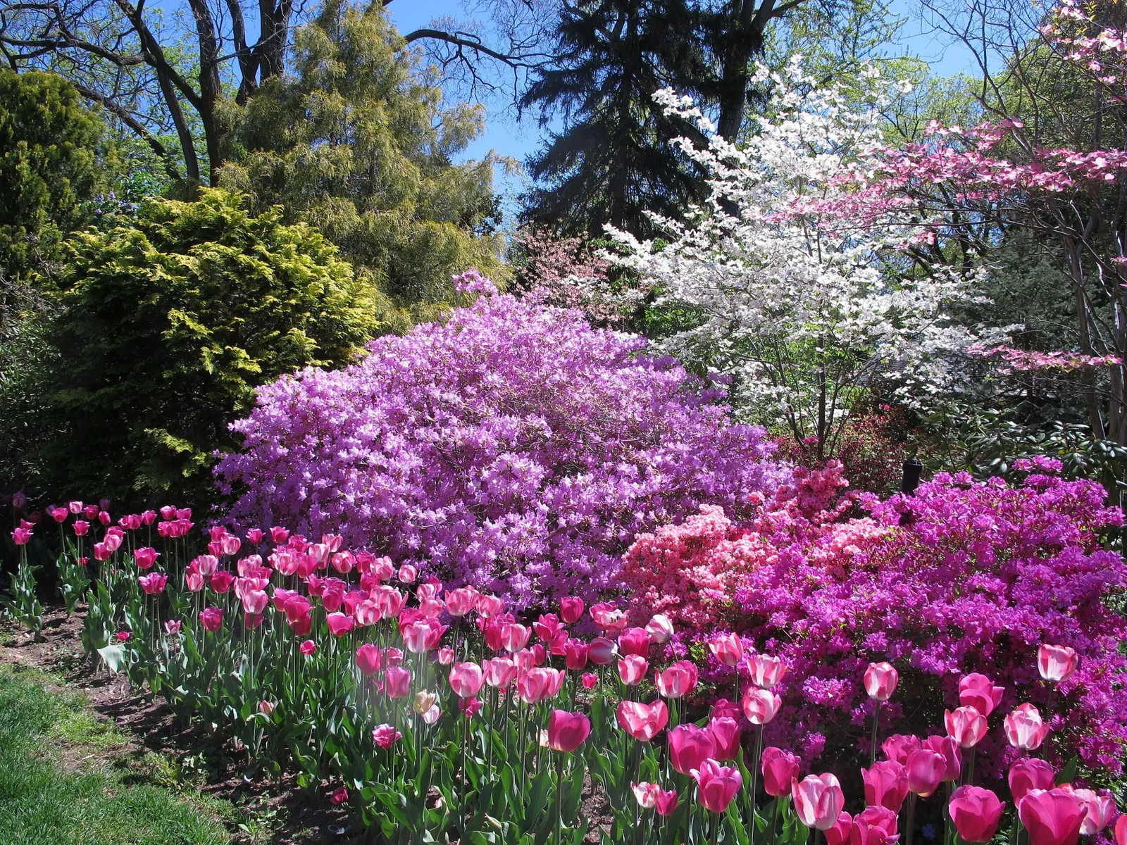 Hillwood Estate, Museum & Gardens