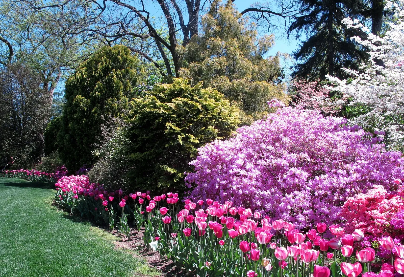 Hillwood Estate, Museum & Gardens