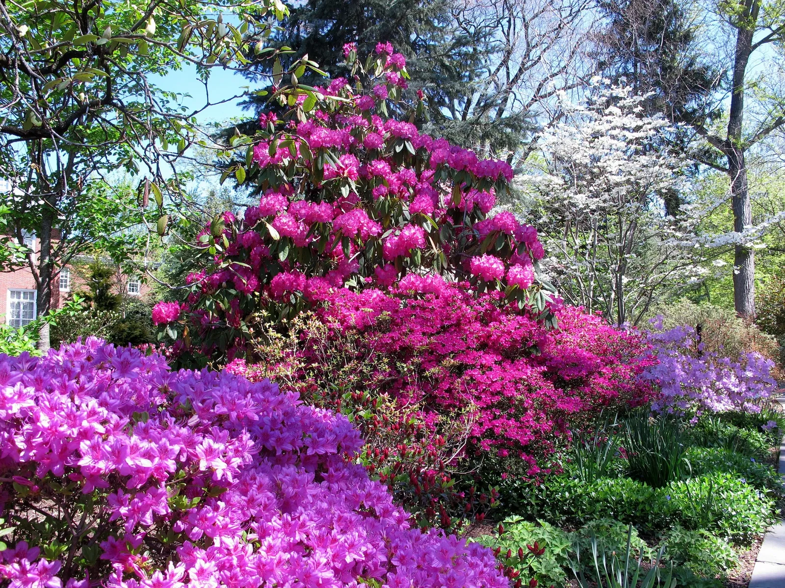 Hillwood Estate, Museum & Gardens