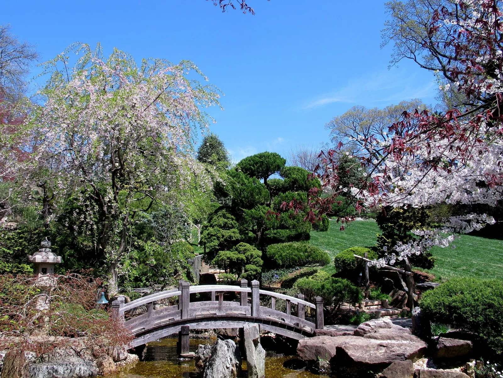 Hillwood Estate, Museum & Gardens