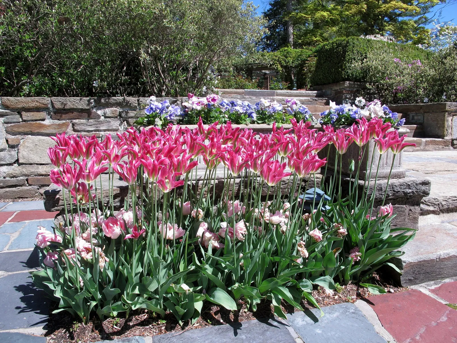 Hillwood Estate, Museum & Gardens