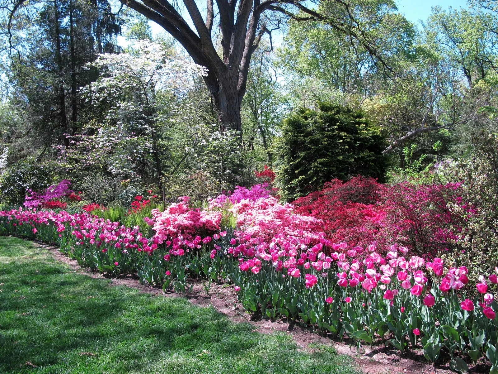 Hillwood Estate, Museum & Gardens