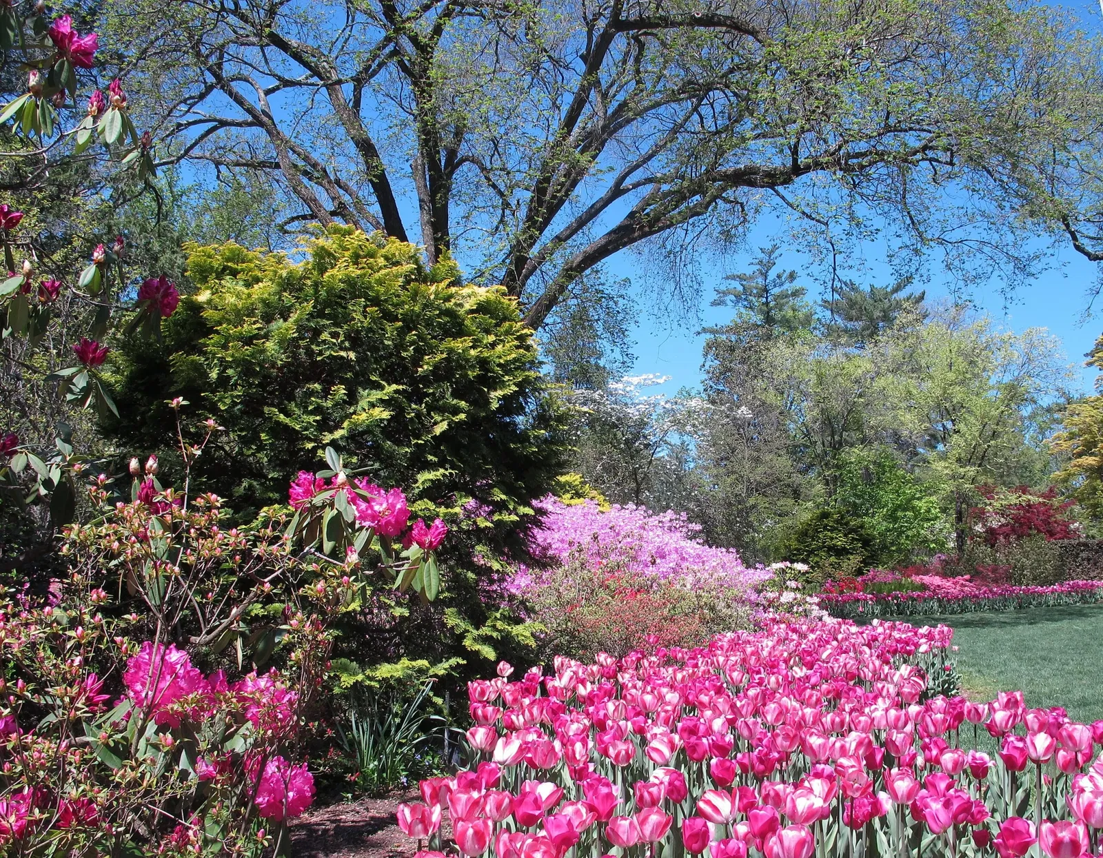 Hillwood Estate, Museum & Gardens
