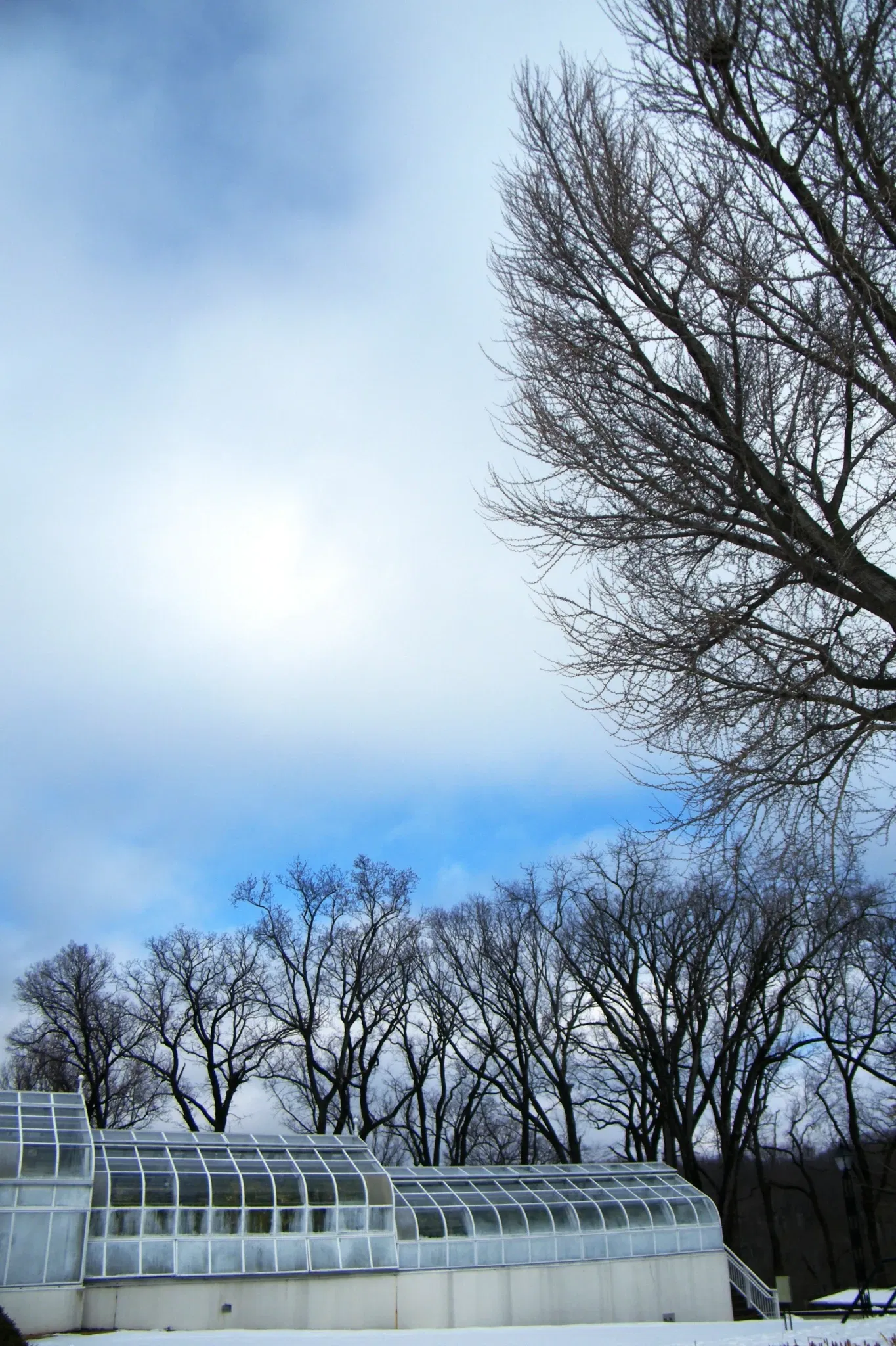 Hillwood Estate, Museum & Gardens