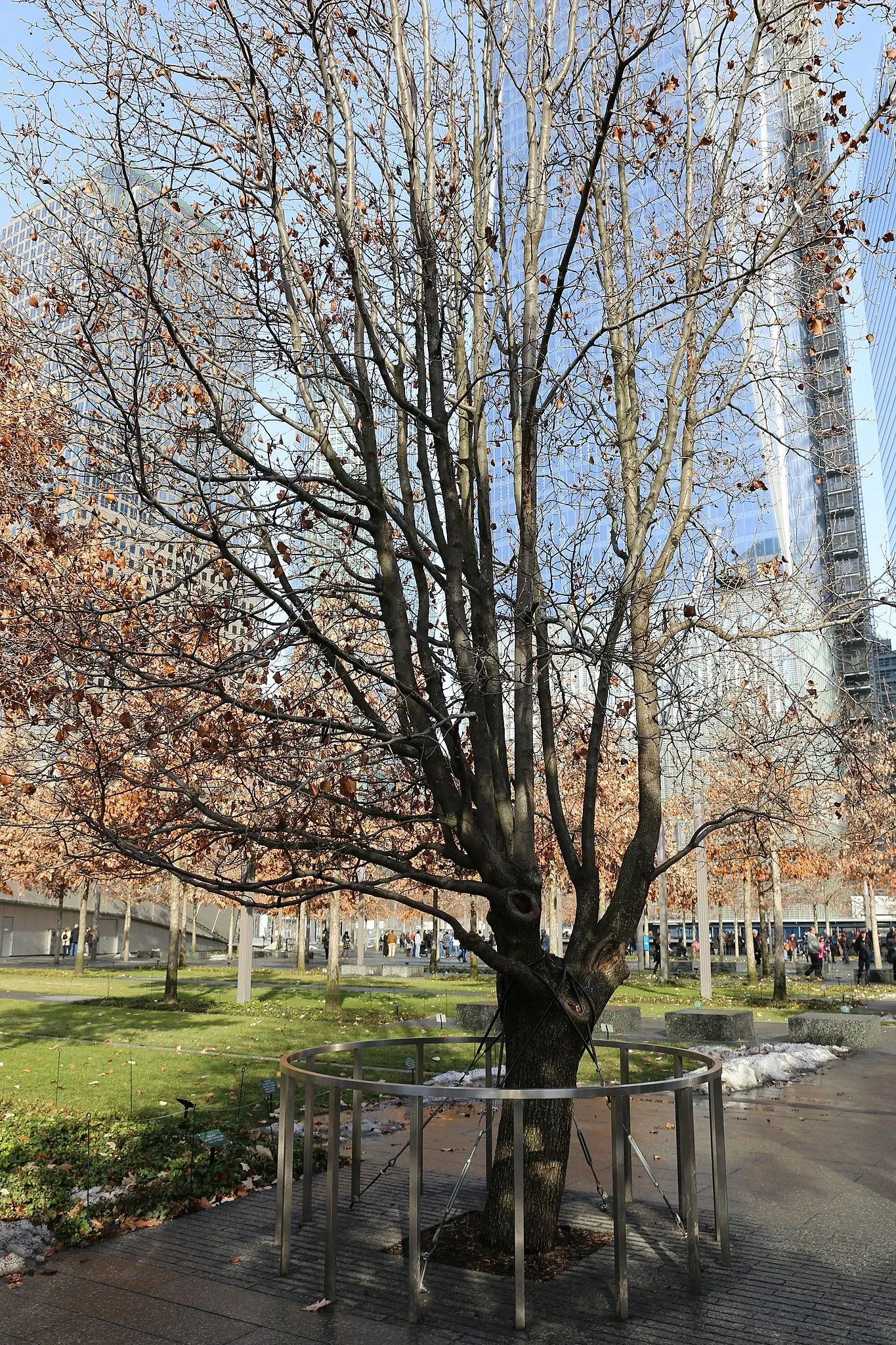 National September 11 Memorial and Museum