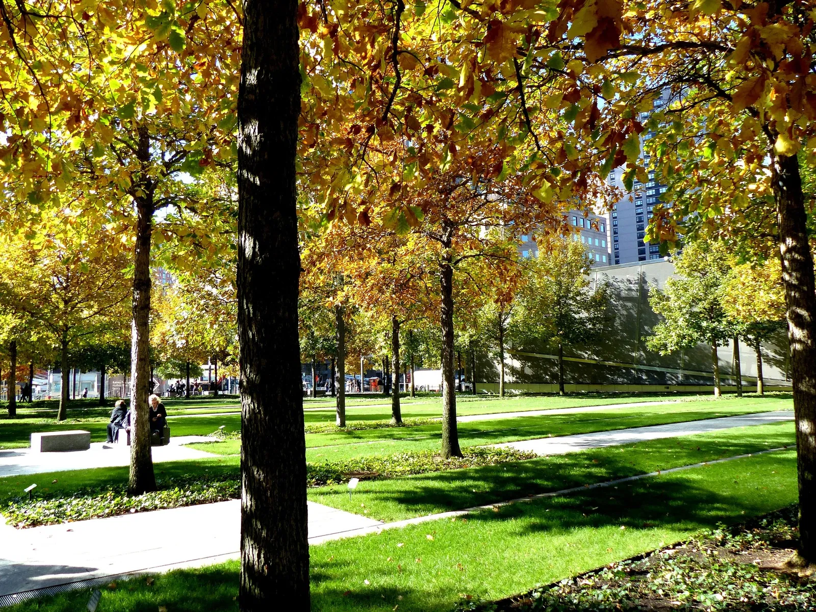 National September 11 Memorial and Museum