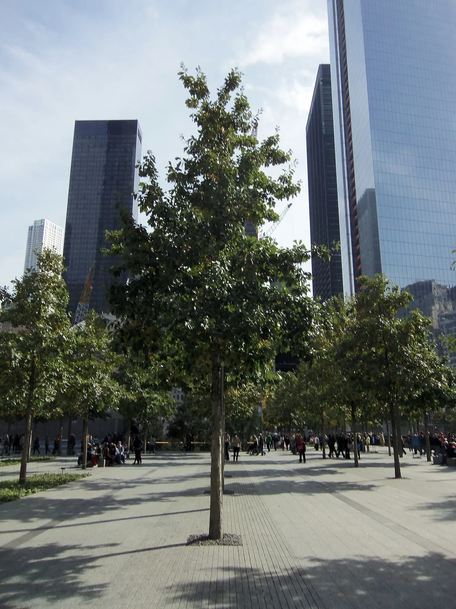 National September 11 Memorial & Museum