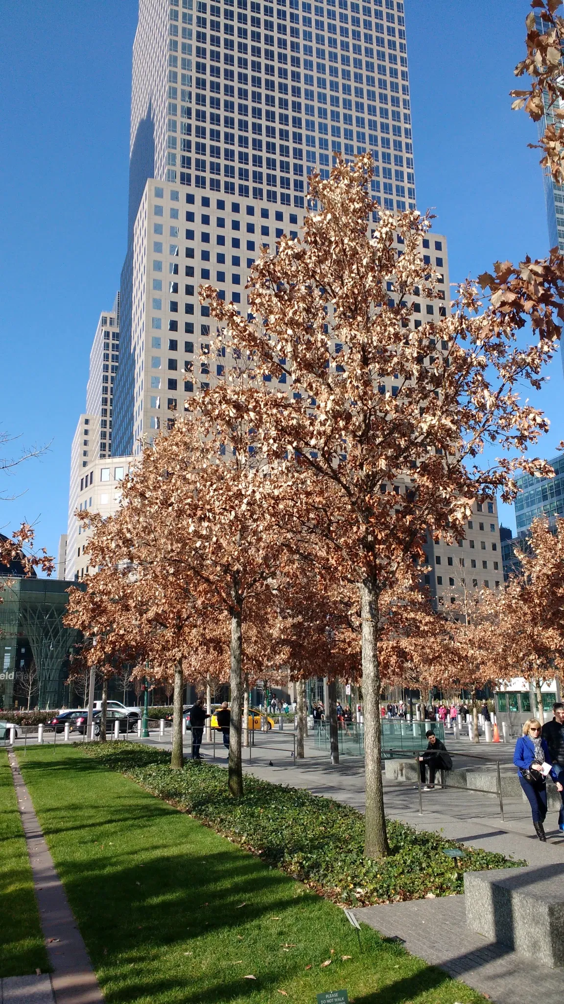 National September 11 Memorial and Museum