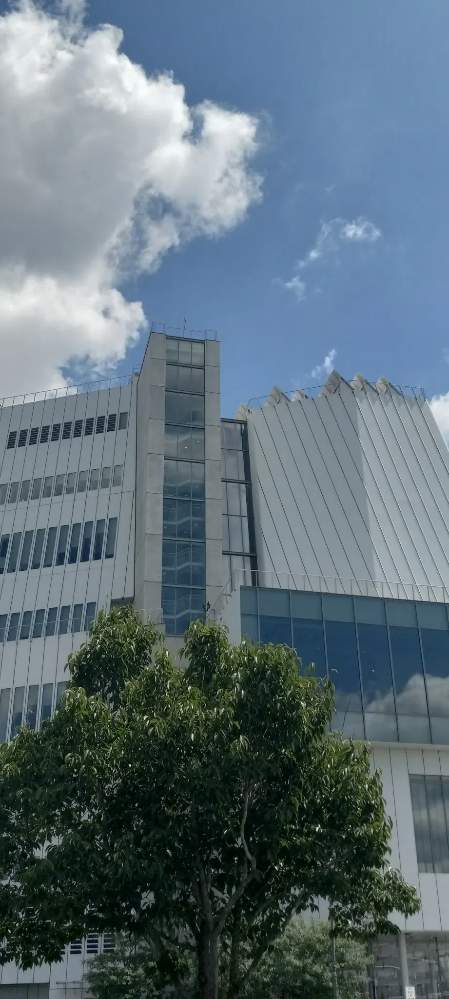 Museo Whitney de Arte Estadounidense